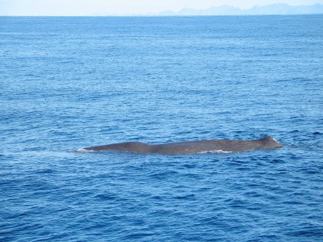 Urlaub in Norwegen 2006